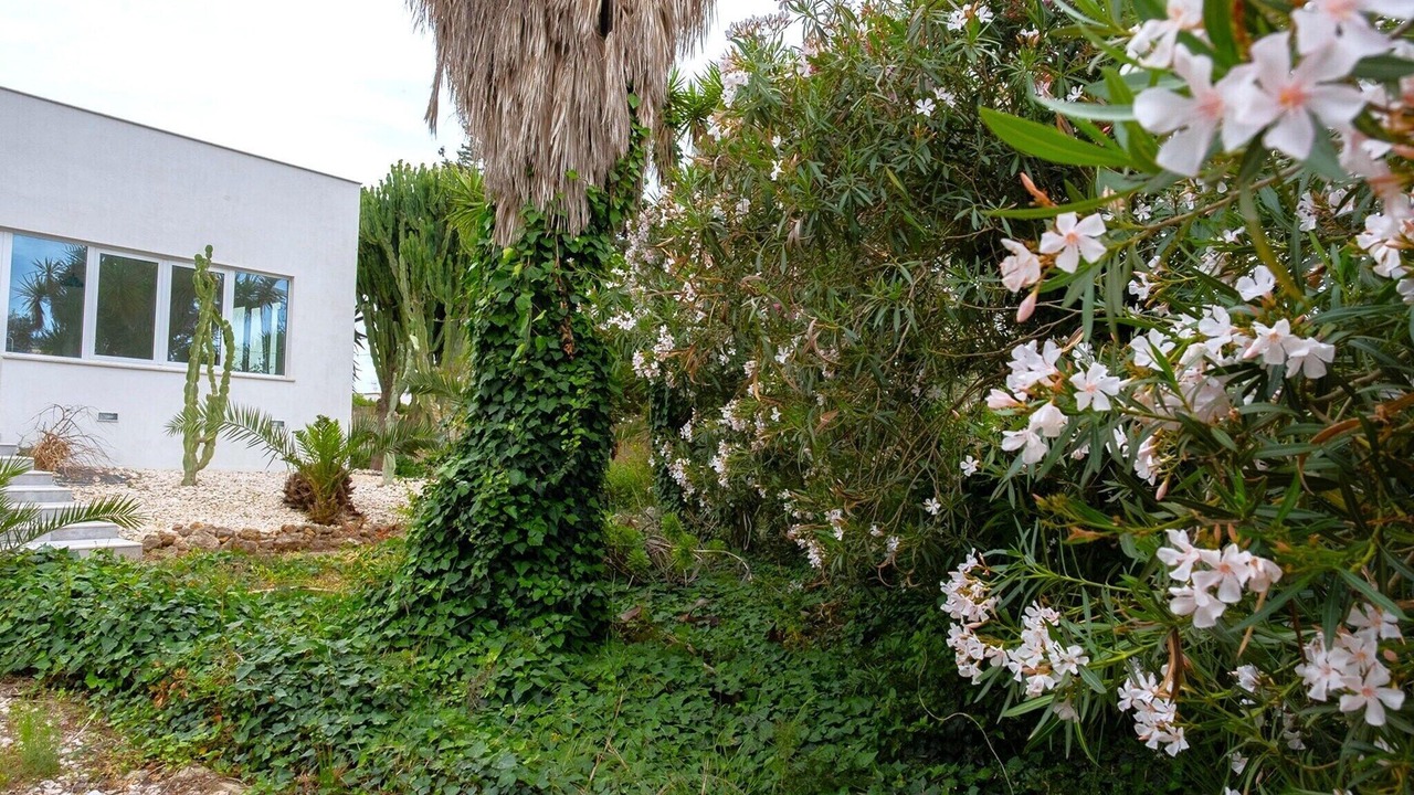 Photo of Outdoor in Mazara del Vallo