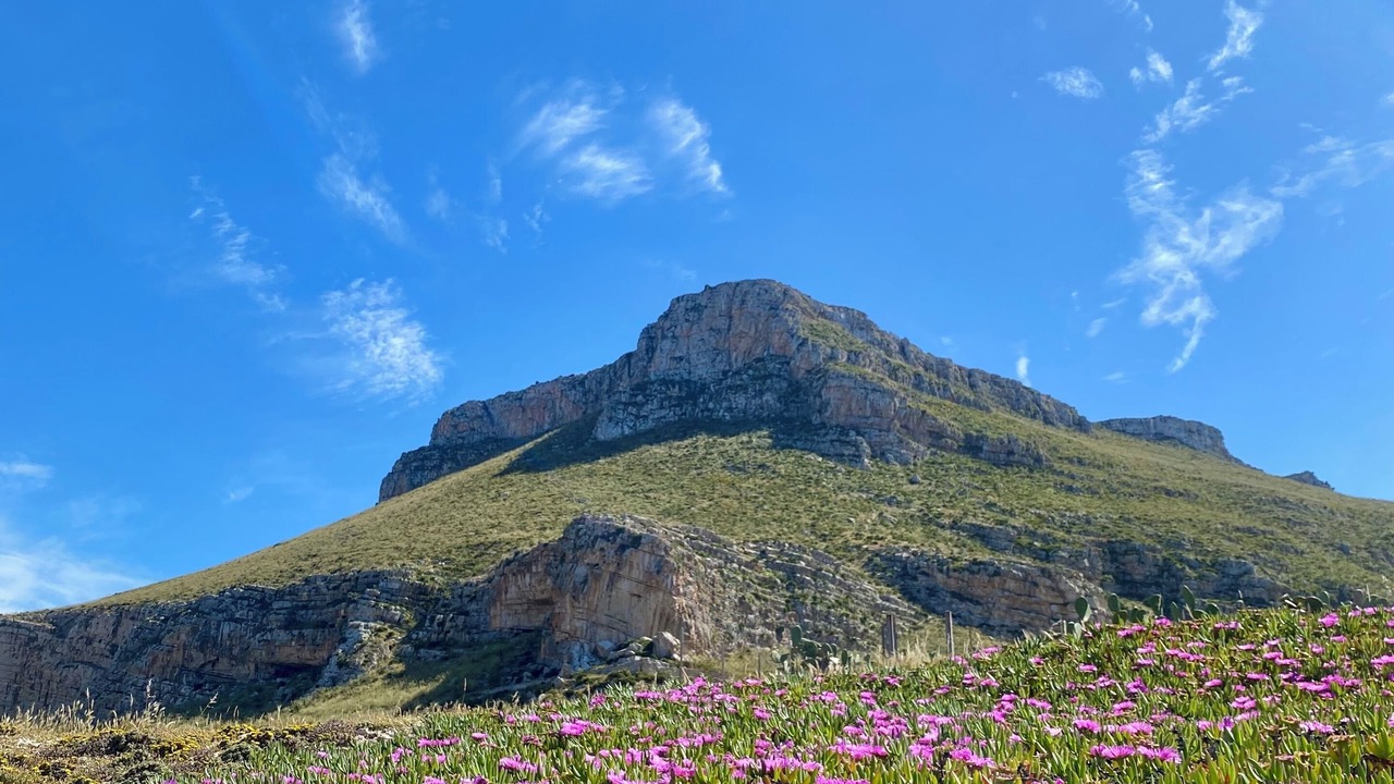 Photo of Others in Erice