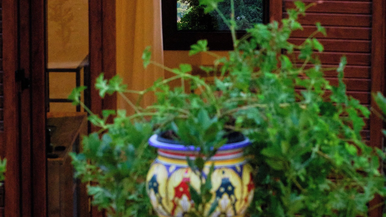 Photo of Patio Balcony in Agrigento