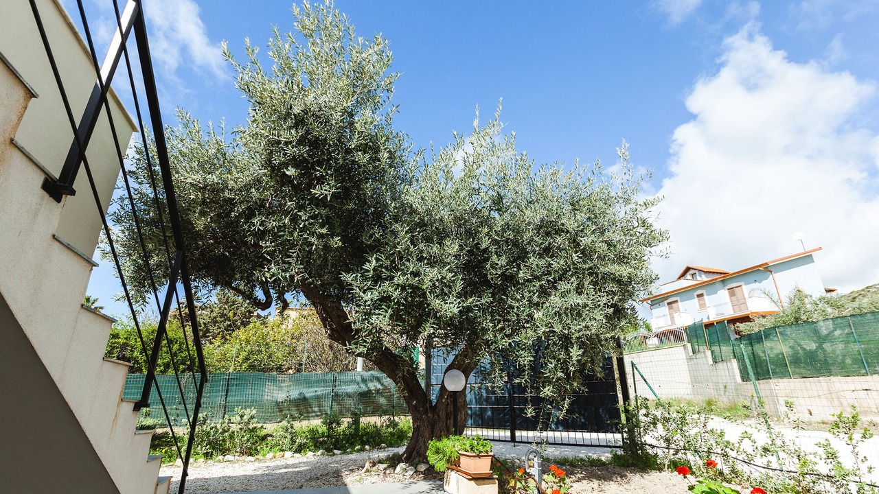Photo of Outdoor in Porto Empedocle