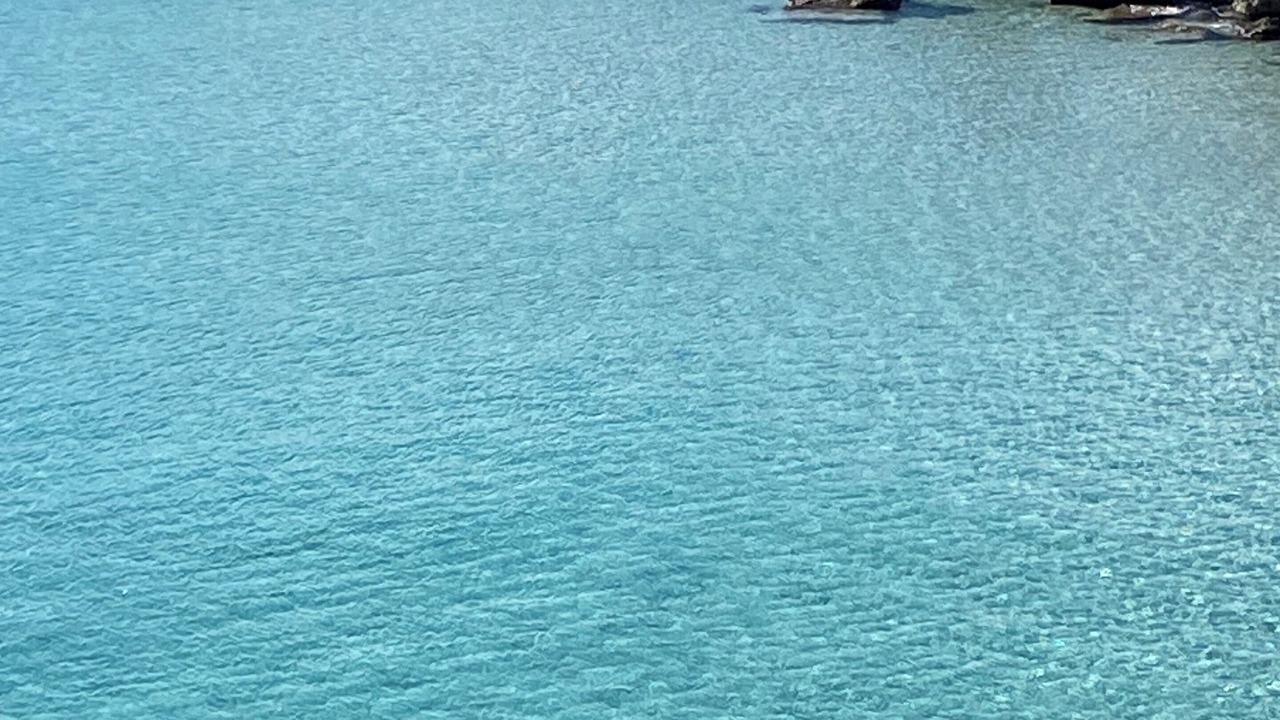 Photo of Others in Mondello