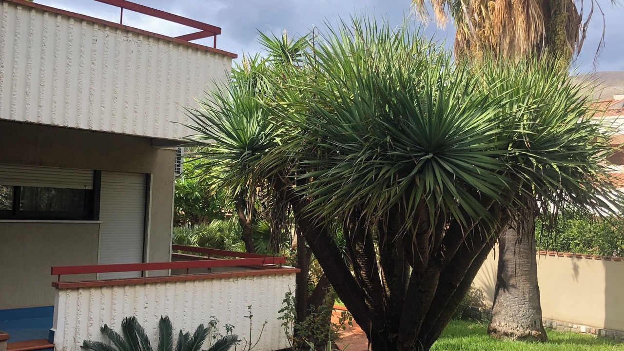 Photo of Outdoor in Mondello
