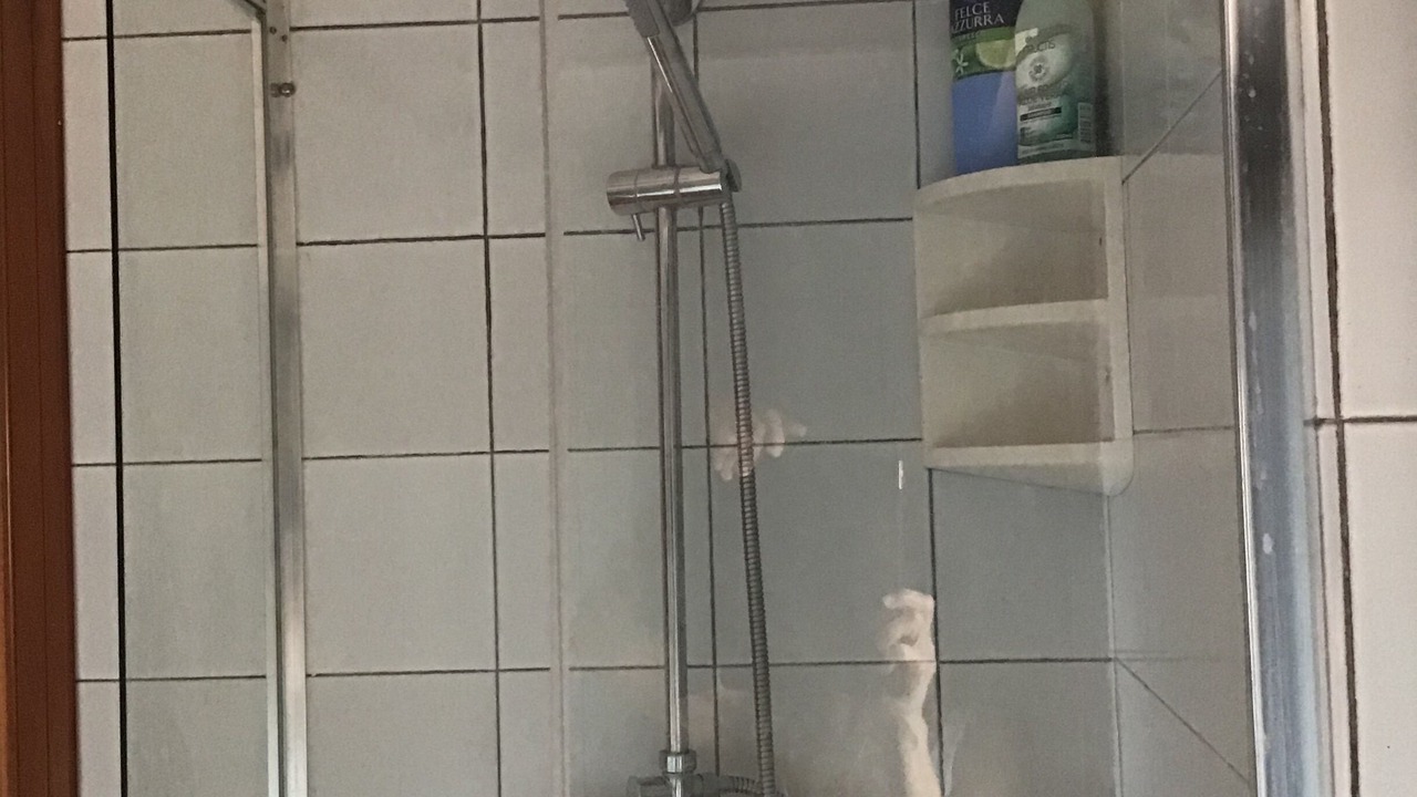 Photo of Bathroom in Mondello