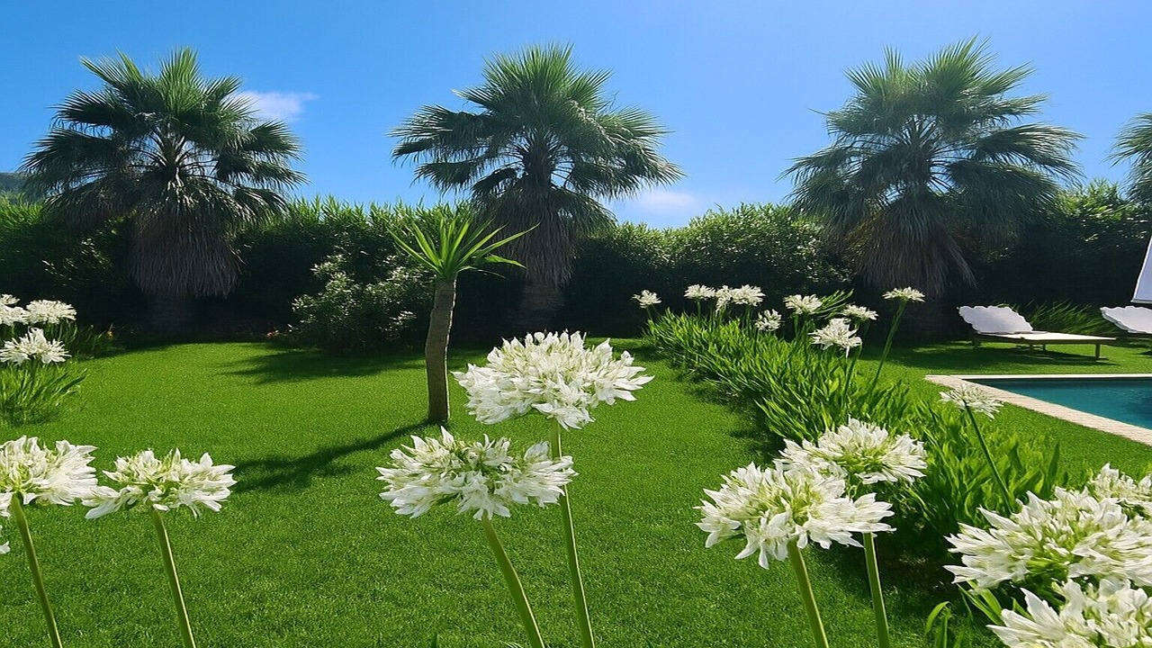 Photo of Outdoor in Rovittello