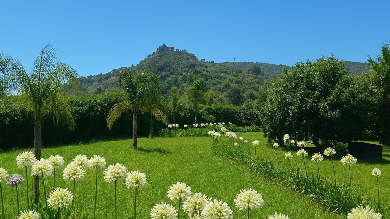 Photo of Outdoor in Rovittello