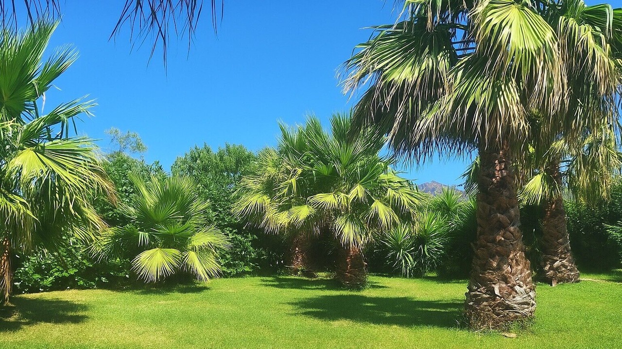 Photo of Outdoor in Rovittello