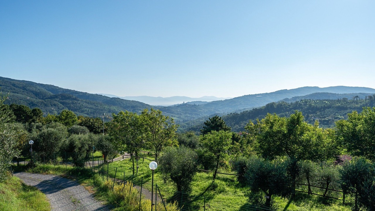 Photo of Others in Margine Coperta-Traversagna