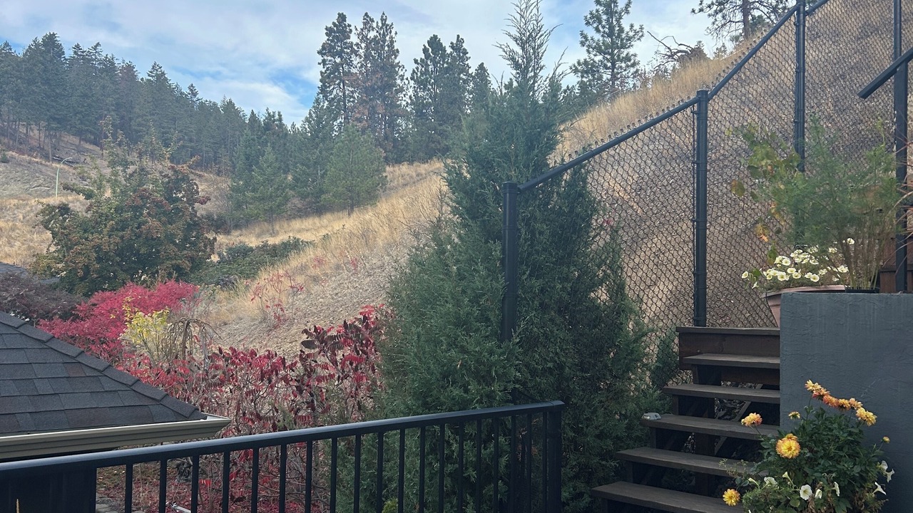 Photo of Outdoor in North Glenmore
