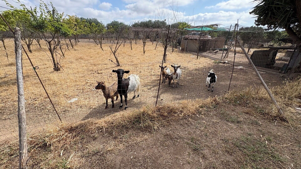Photo of Others in Chiaramonte Gulfi