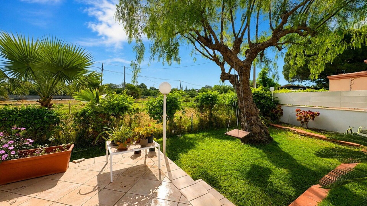 Photo of Outdoor in Sampieri