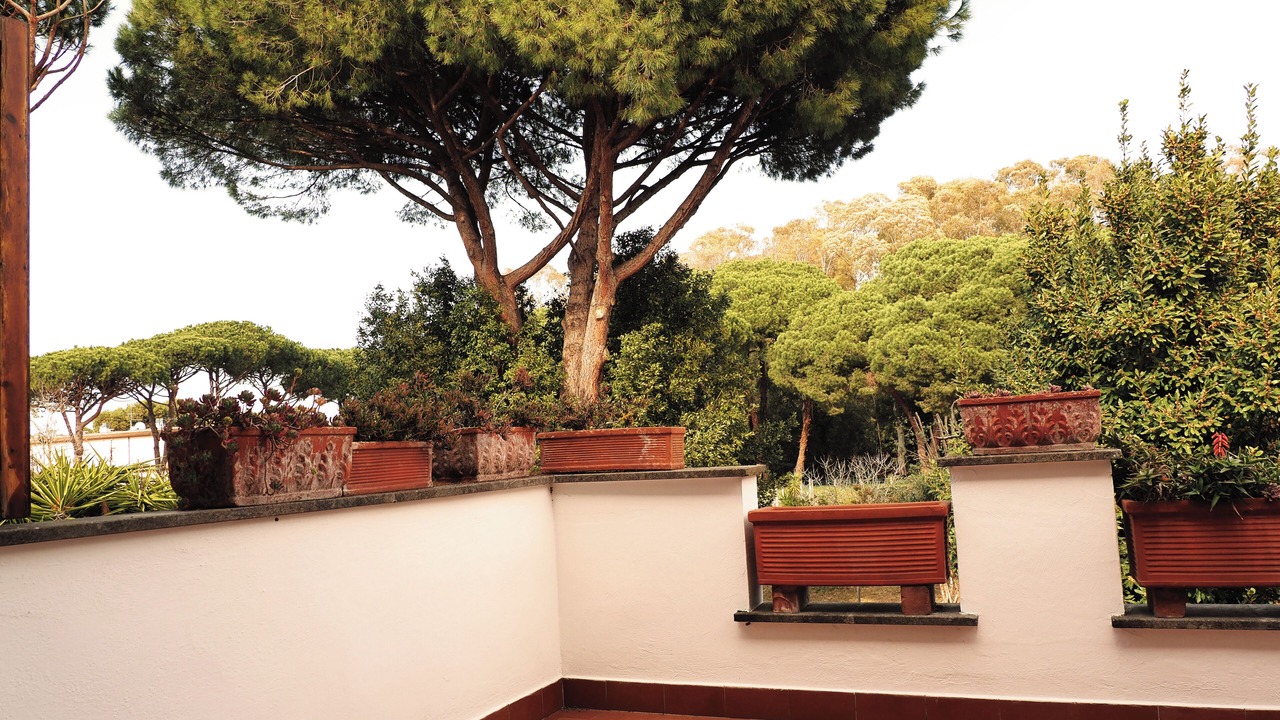 Photo of Outdoor in Fregenae