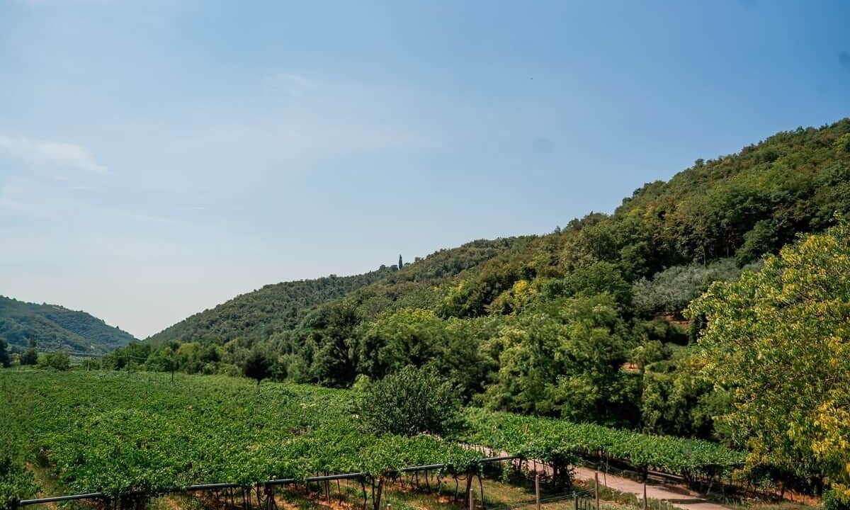 Photo of Others in Mezzane di Sotto
