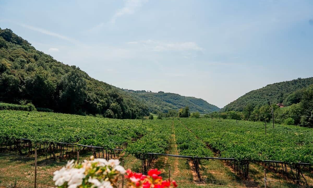 Photo of Others in Mezzane di Sotto