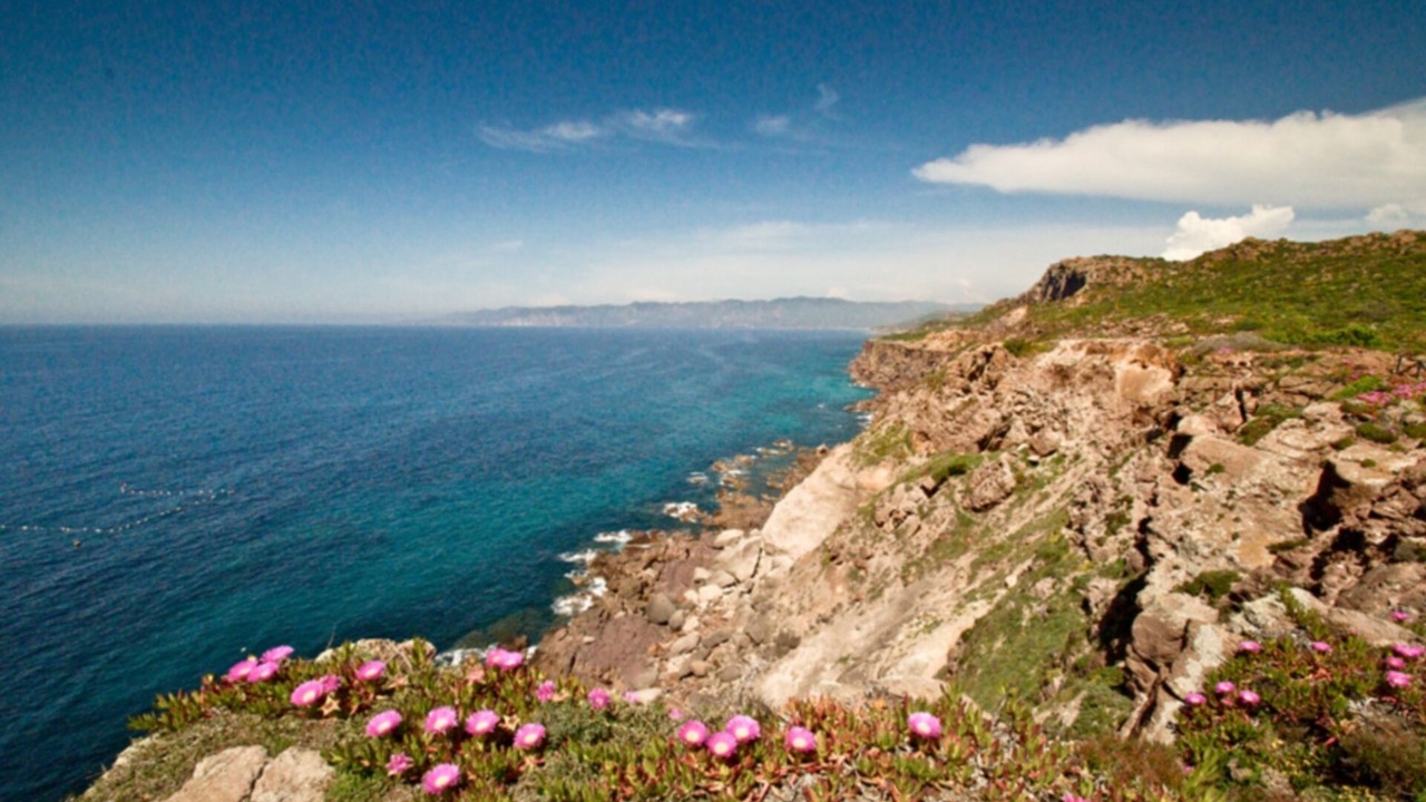 Photo of Others in Gonnesa
