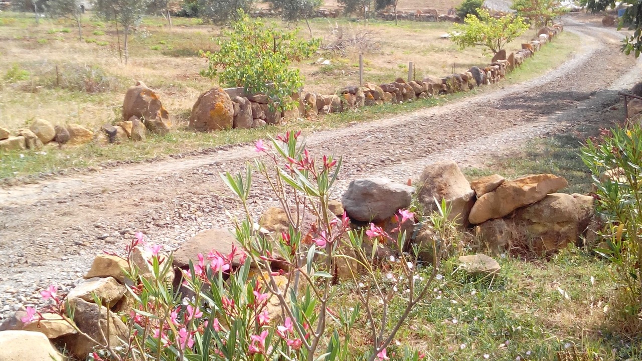 Photo of Others in Gonnesa