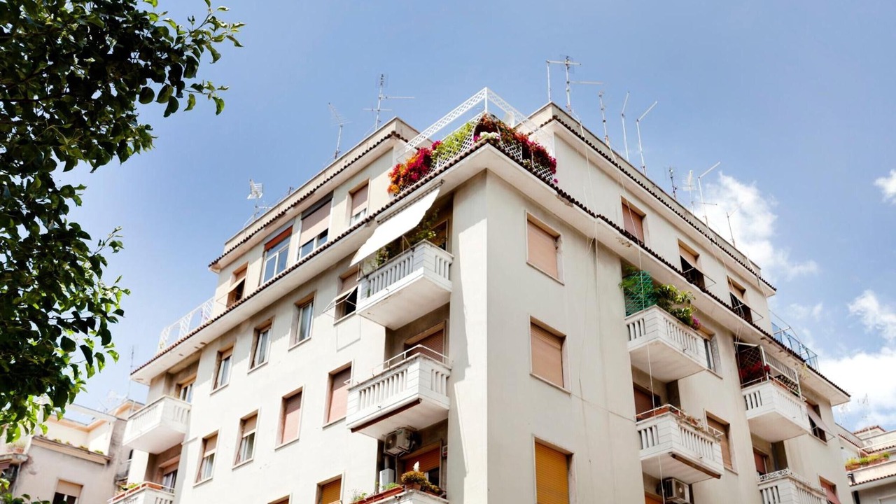 Photo of Outdoor in Aurelio