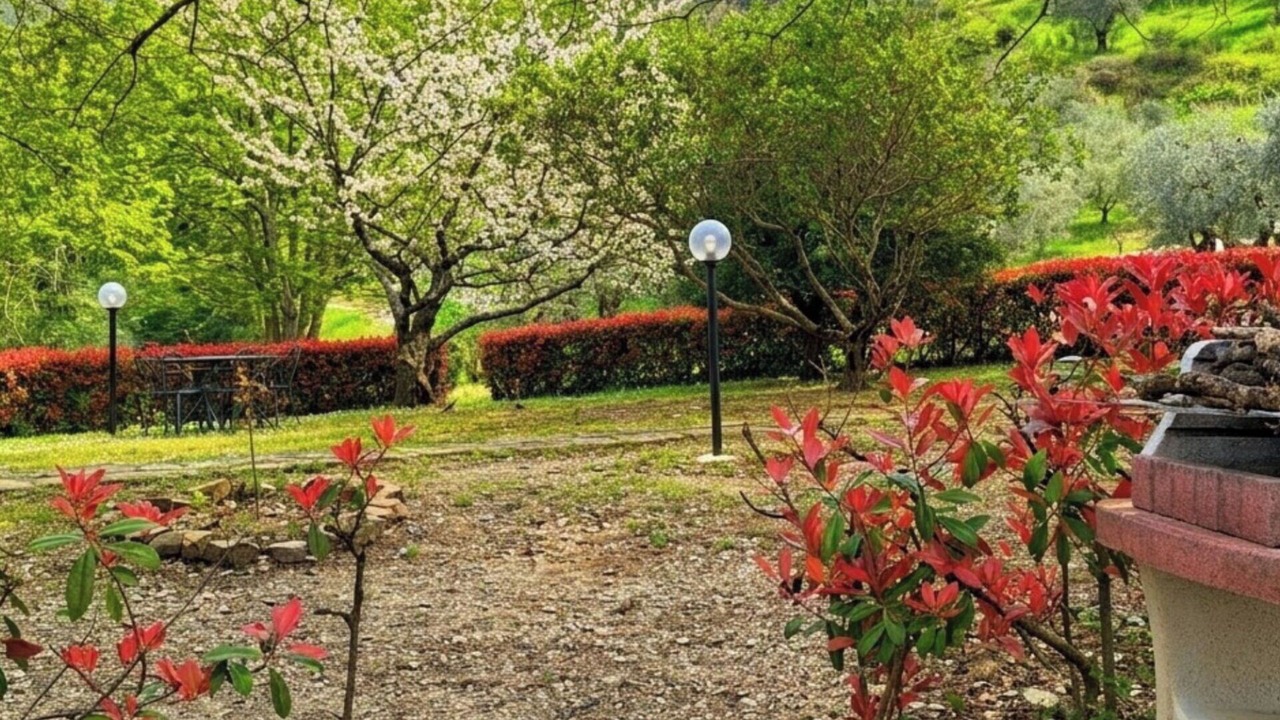 Photo of Outdoor in Montebonello