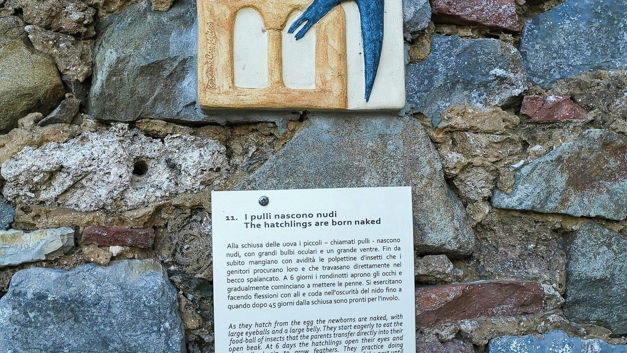 Photo of Others in Campiglia Marittima