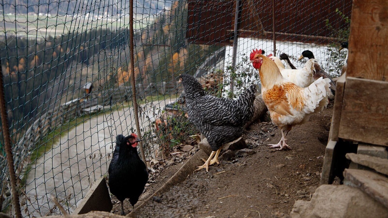 Photo of Others in Campo Tures