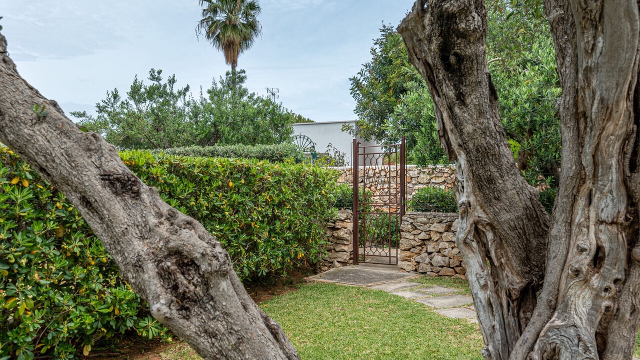 Photo of Outdoor in Terrasini