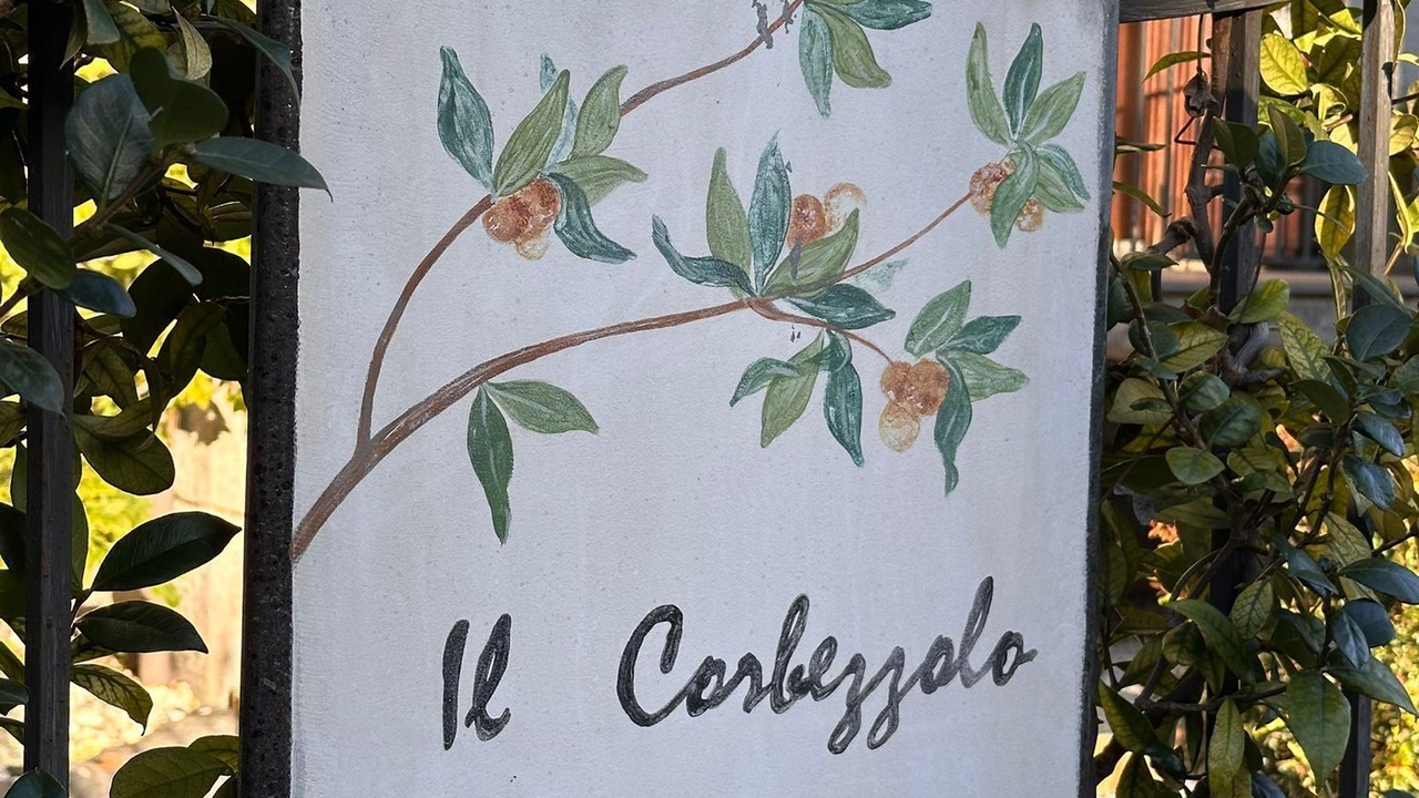 Photo of Outdoor in Linguaglossa