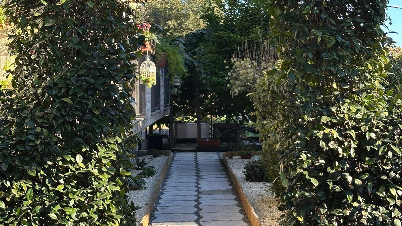 Photo of Outdoor in Linguaglossa