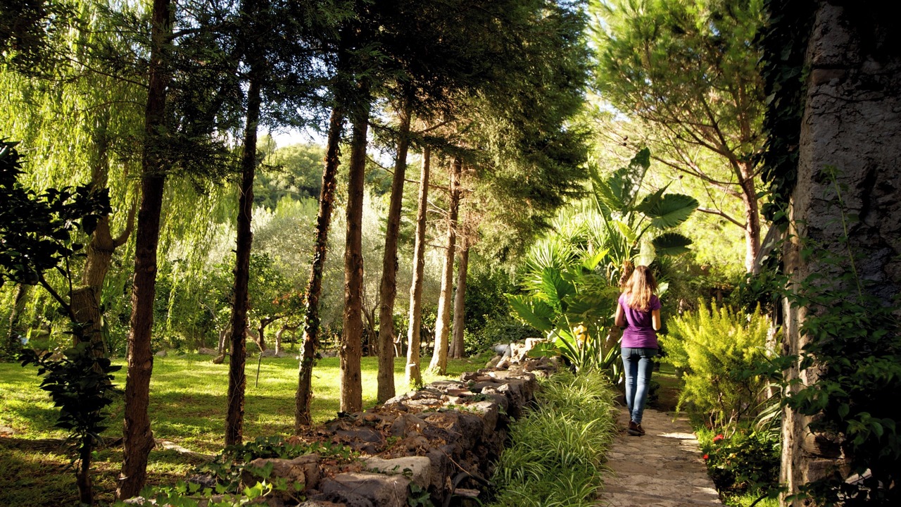 Photo of Outdoor in Mitogio
