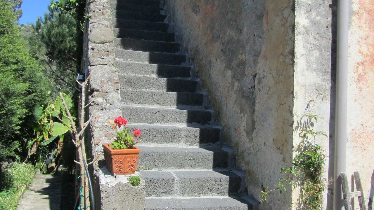 Photo of Outdoor in Mitogio