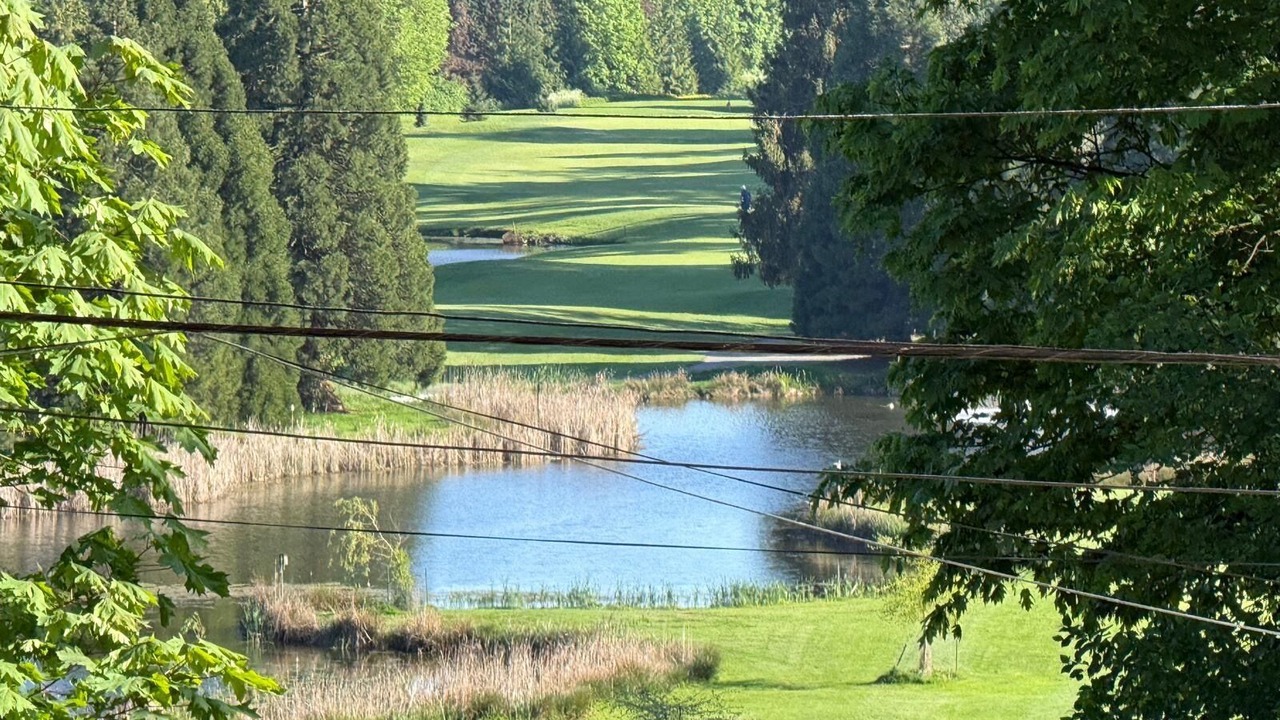 Photo of Others in Kerrisdale