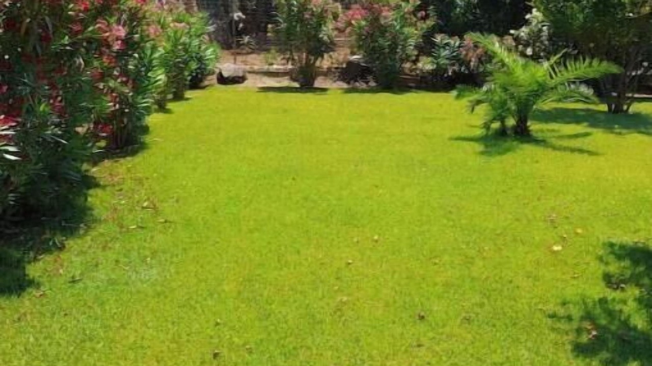 Photo of Outdoor in Cinisi