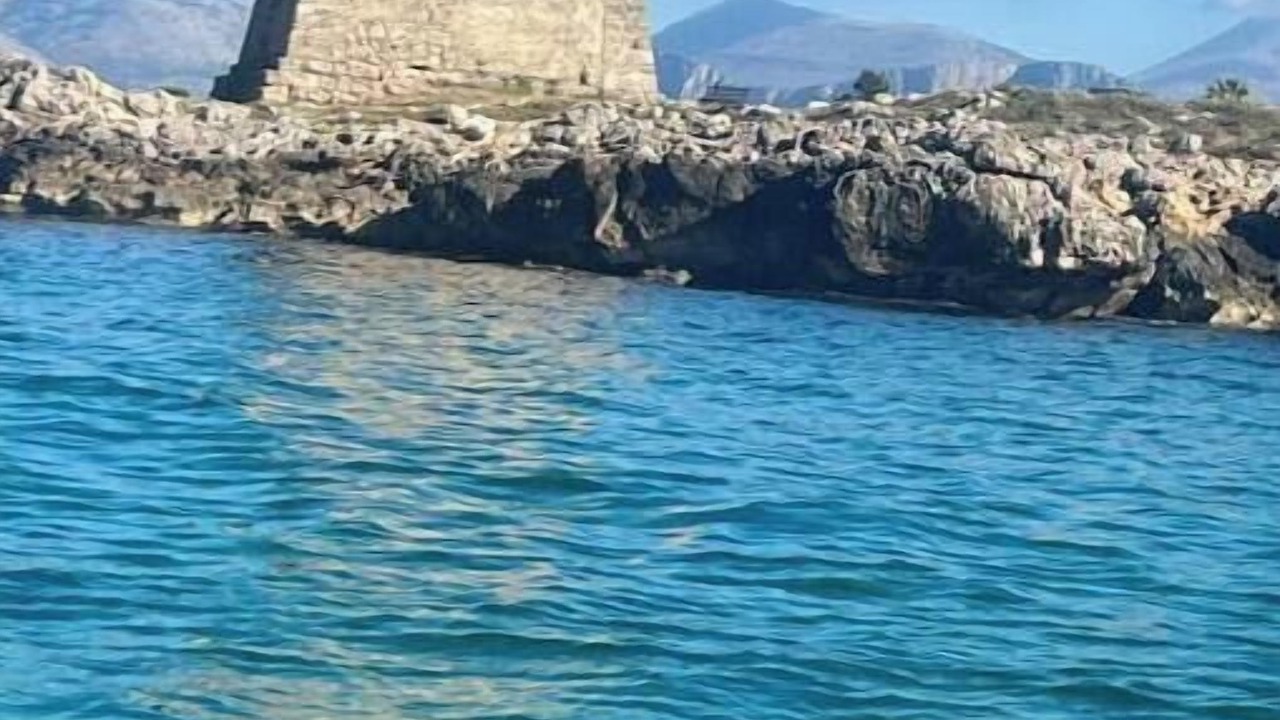 Photo of Others in Cinisi