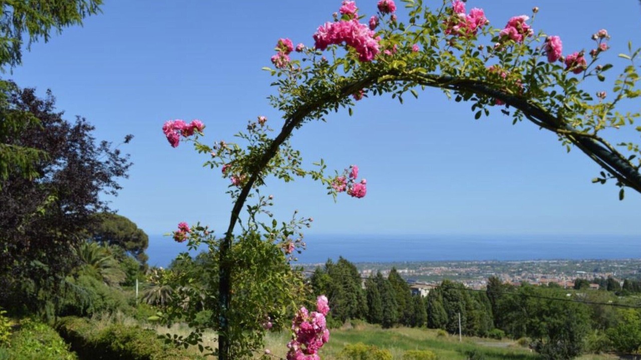 Photo of Outdoor in Coste