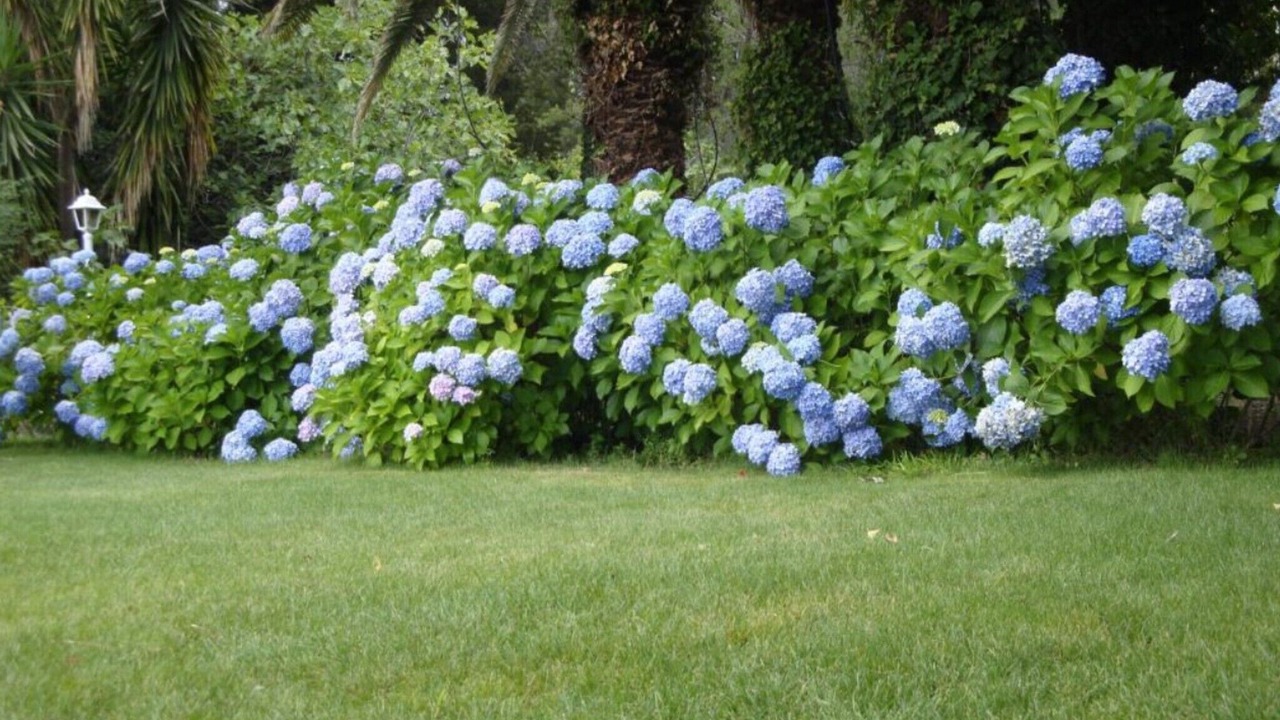 Photo of Outdoor in Coste
