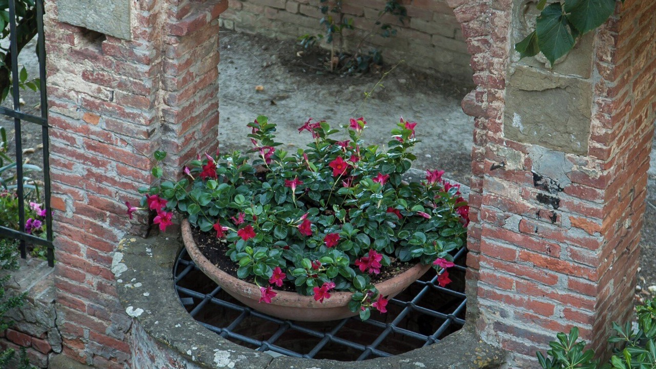 Photo of Outdoor in Lucignano