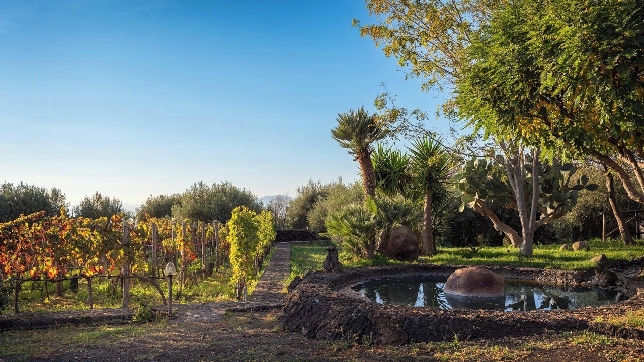 Photo of Outdoor in Santa Maria di Licodia