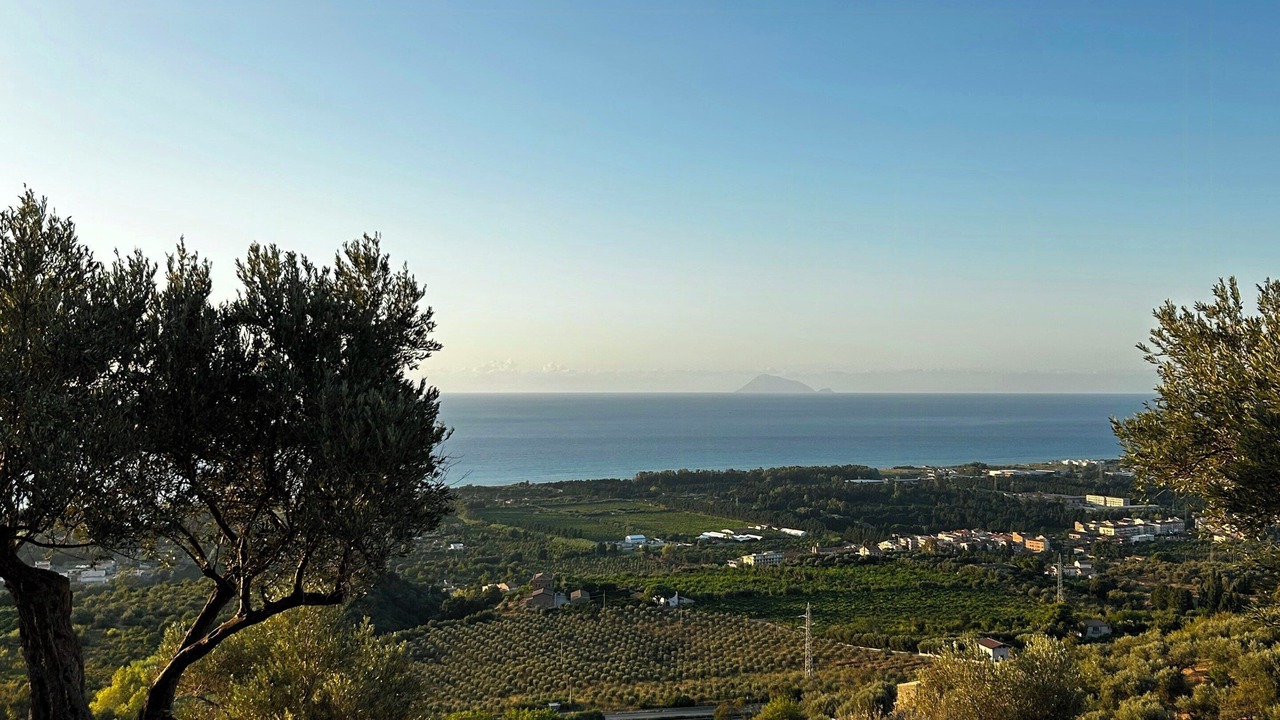 Photo of Others in Torrenova