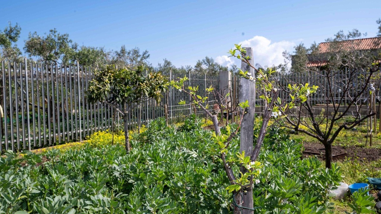 Photo of Outdoor in Province of Messina