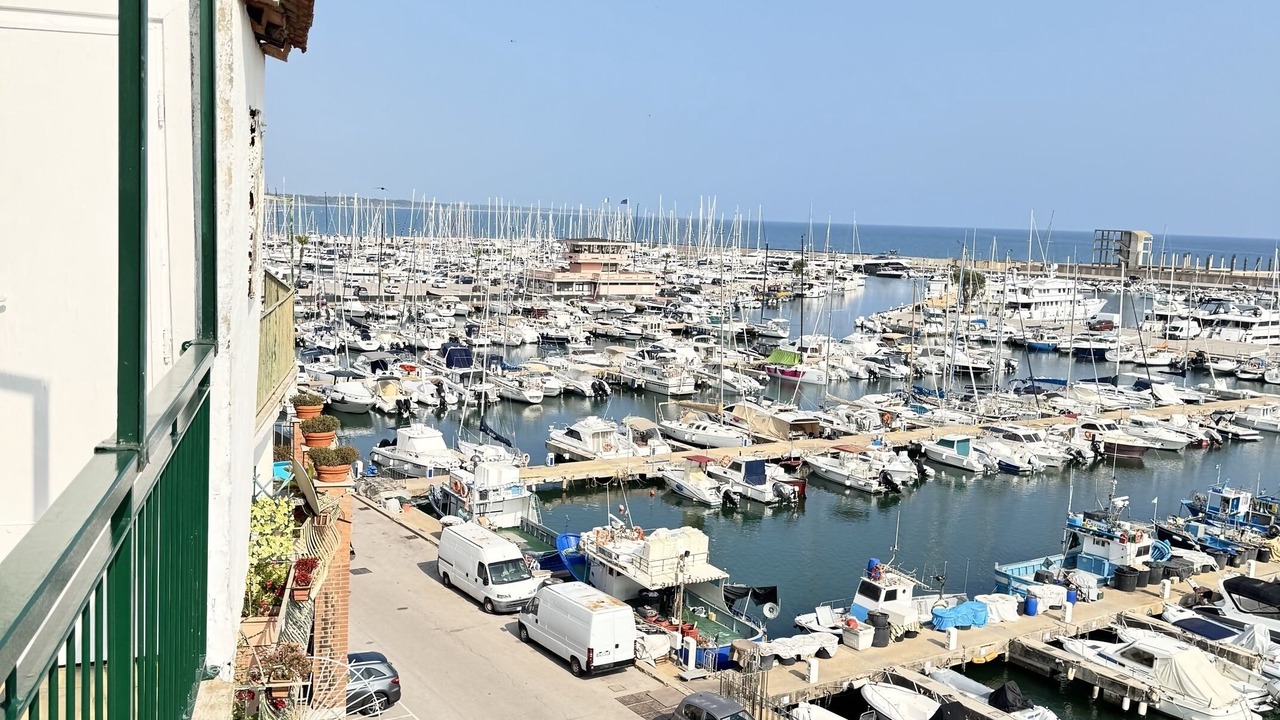 Photo of Others in Nettuno