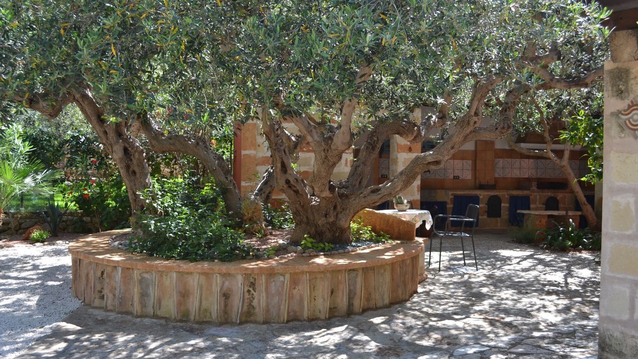 Photo of Outdoor in Castelluzzo