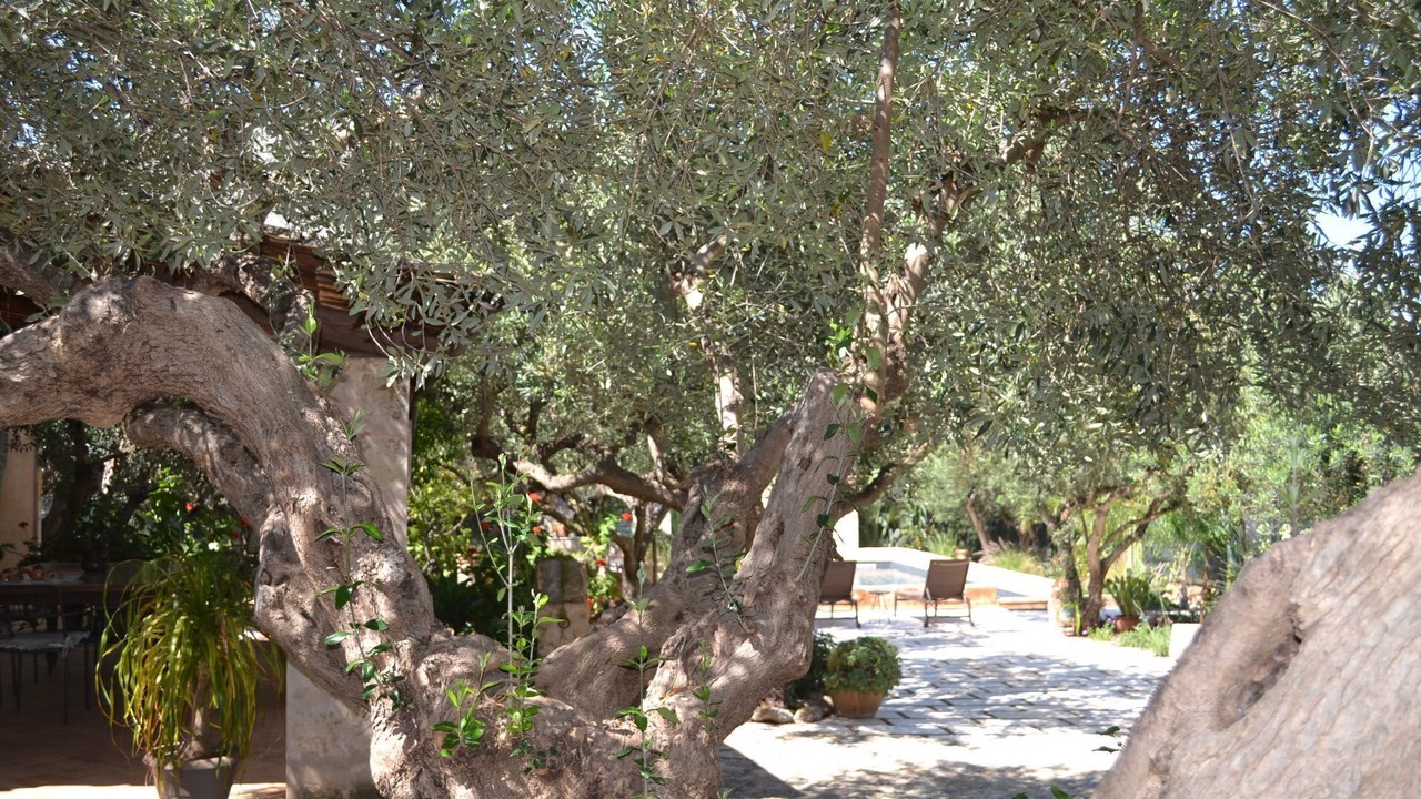 Photo of Outdoor in Castelluzzo