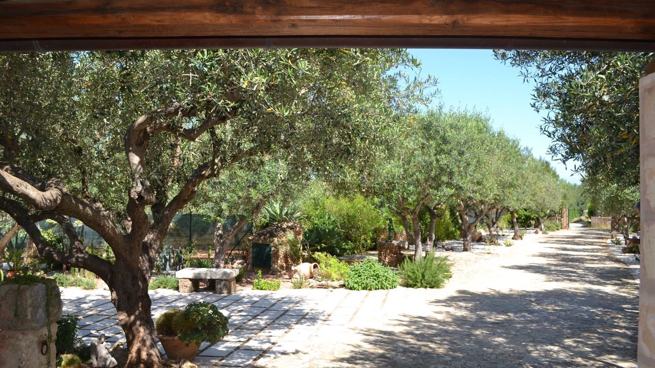 Photo of Outdoor in Castelluzzo