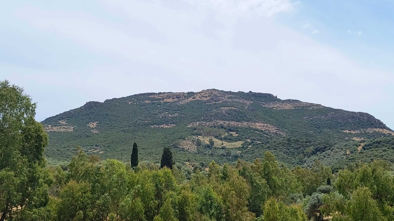 Photo of Others in Perdaxius