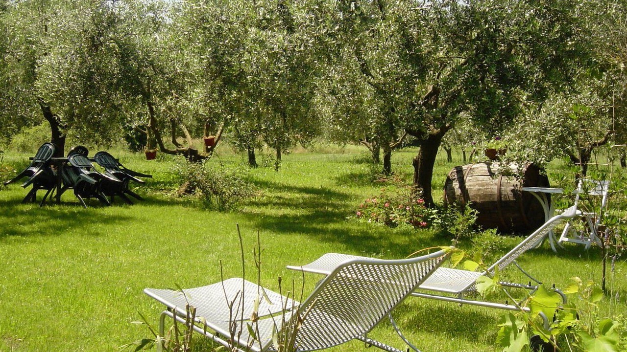 Photo of Outdoor in Zagarolo