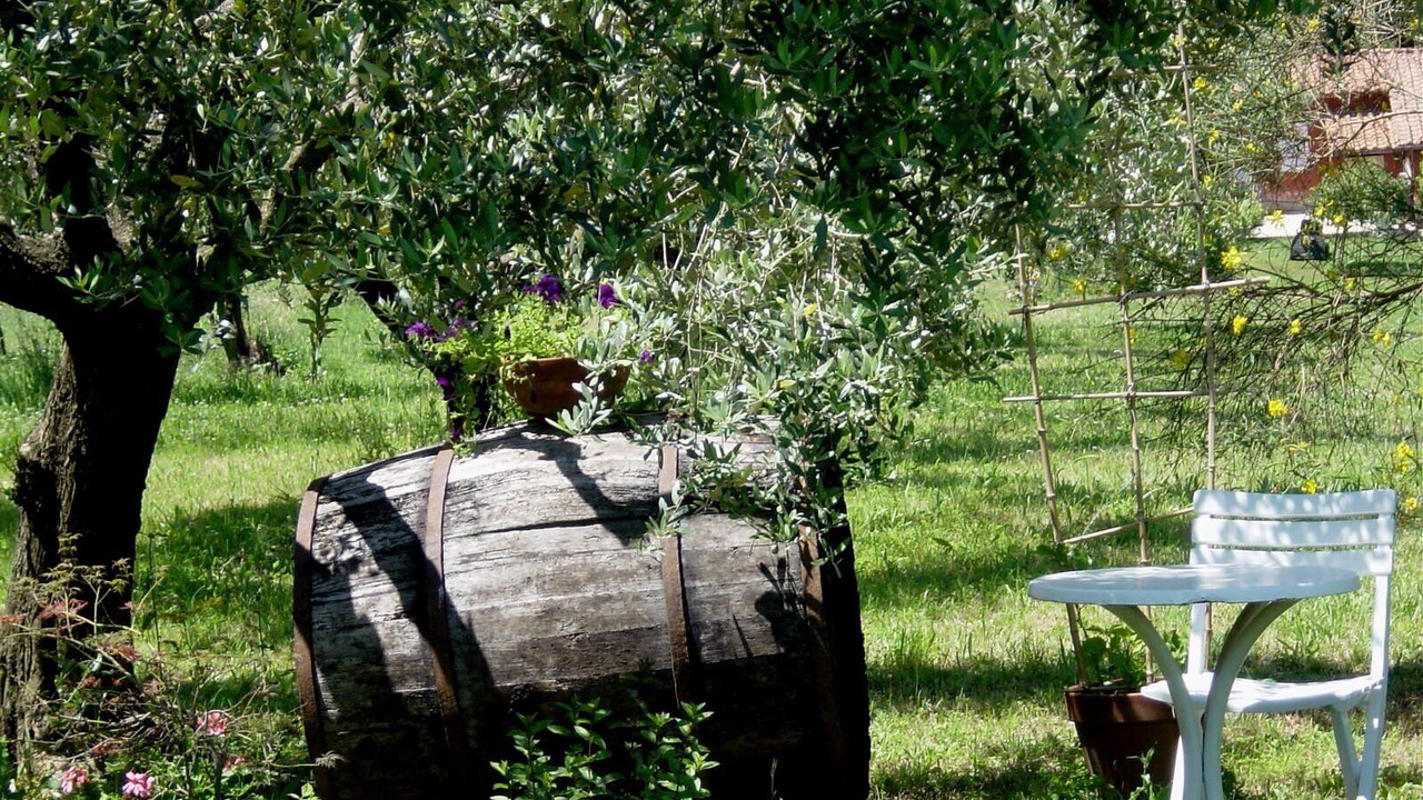 Photo of Outdoor in Zagarolo