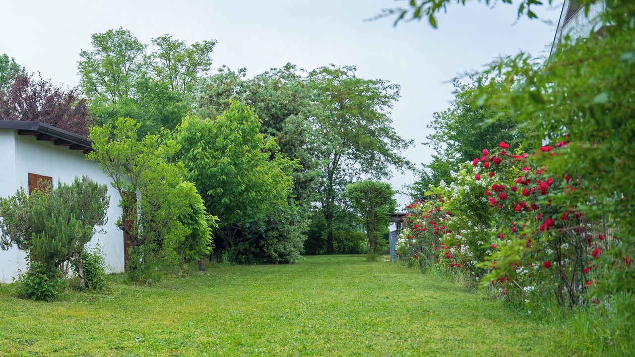 Photo of Outdoor in Bagnolo