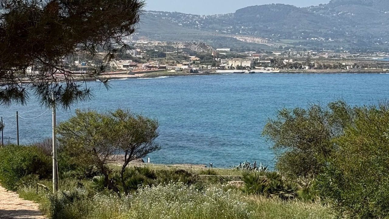 Photo of Others in Custonaci