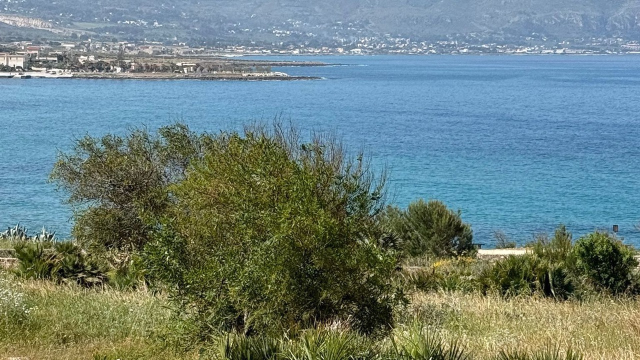 Photo of Others in Custonaci