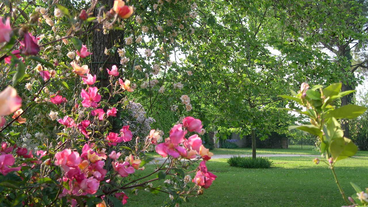 Photo of Outdoor in Est