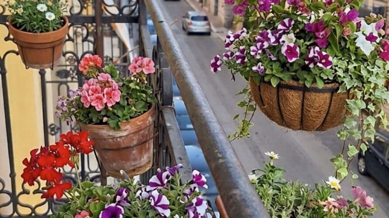 Photo of Others in Caltanissetta