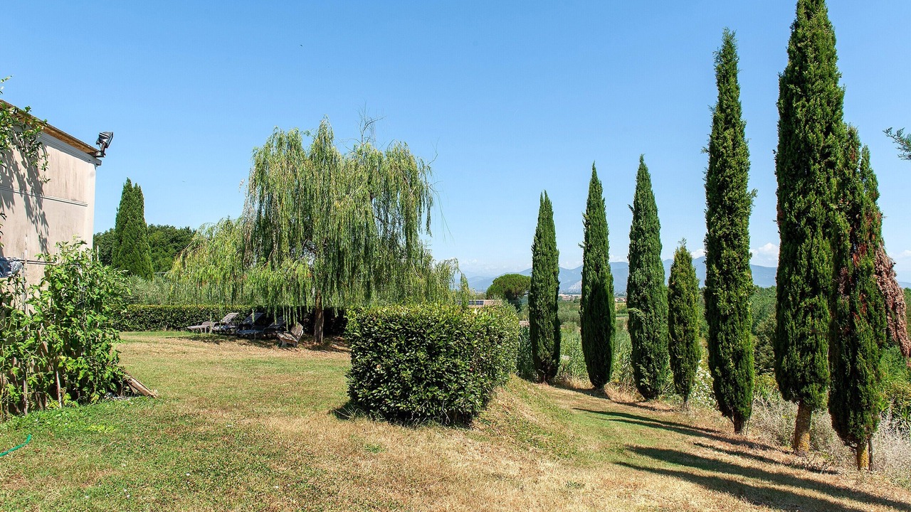 Photo of Outdoor in Crespina